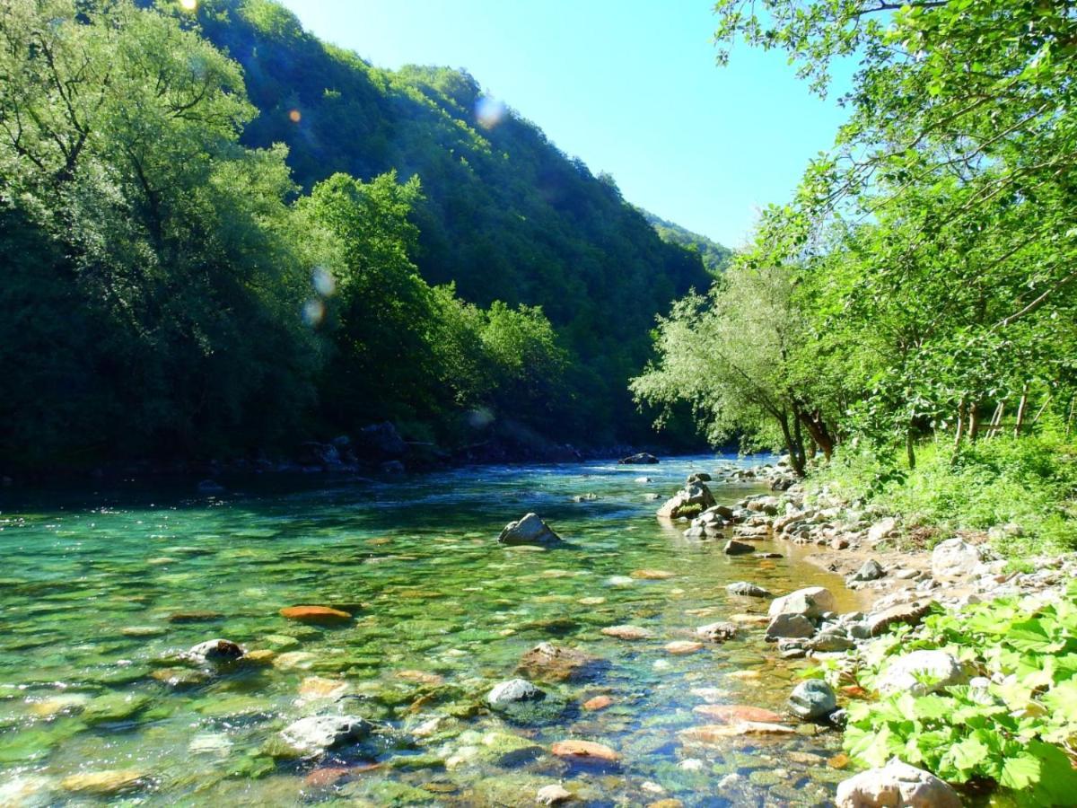 Private Accommodation Kalezic Mojkovac Εξωτερικό φωτογραφία