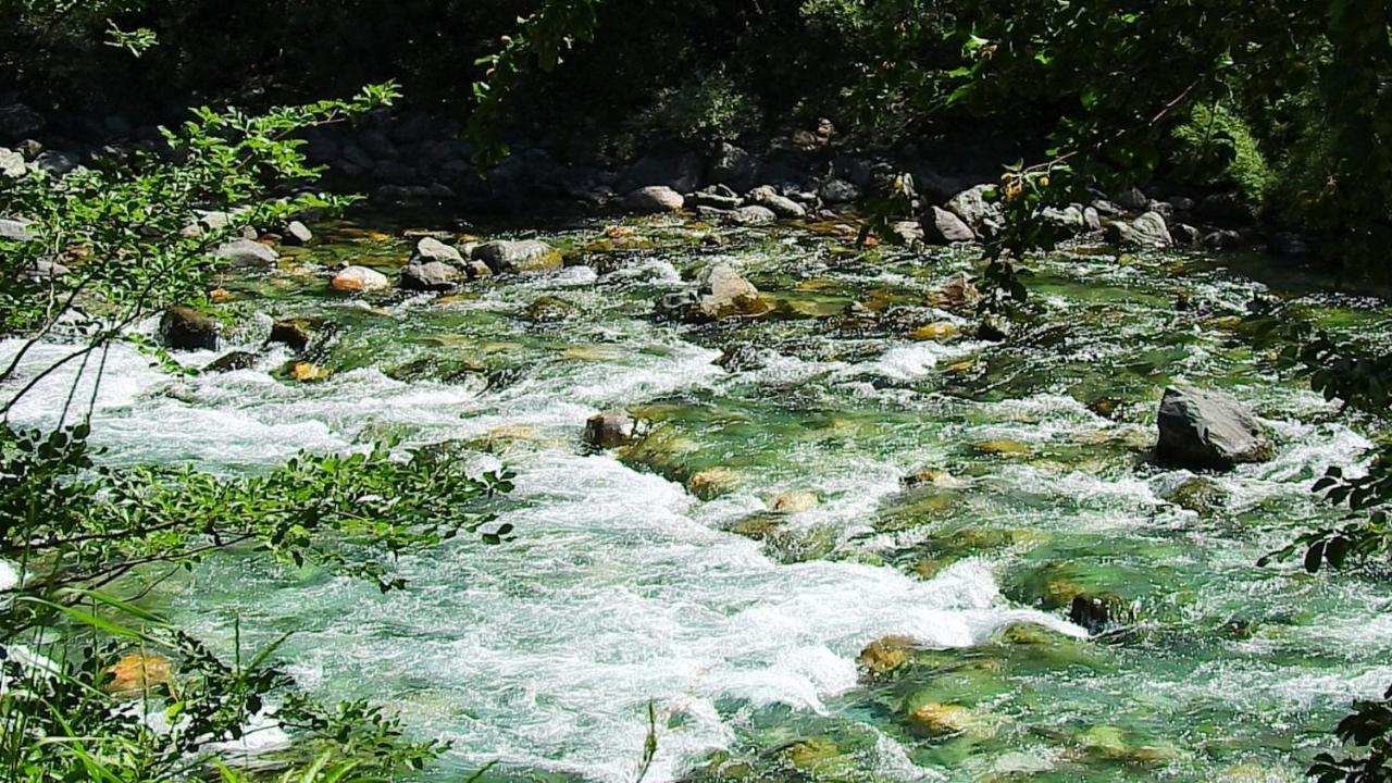 Private Accommodation Kalezic Mojkovac Εξωτερικό φωτογραφία
