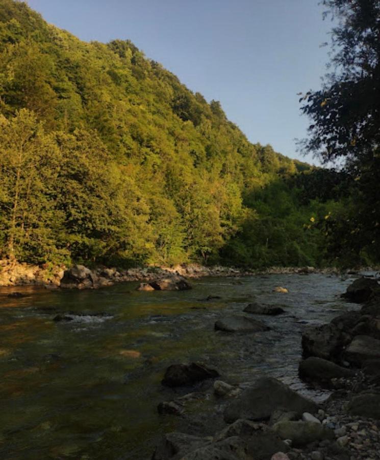 Private Accommodation Kalezic Mojkovac Εξωτερικό φωτογραφία
