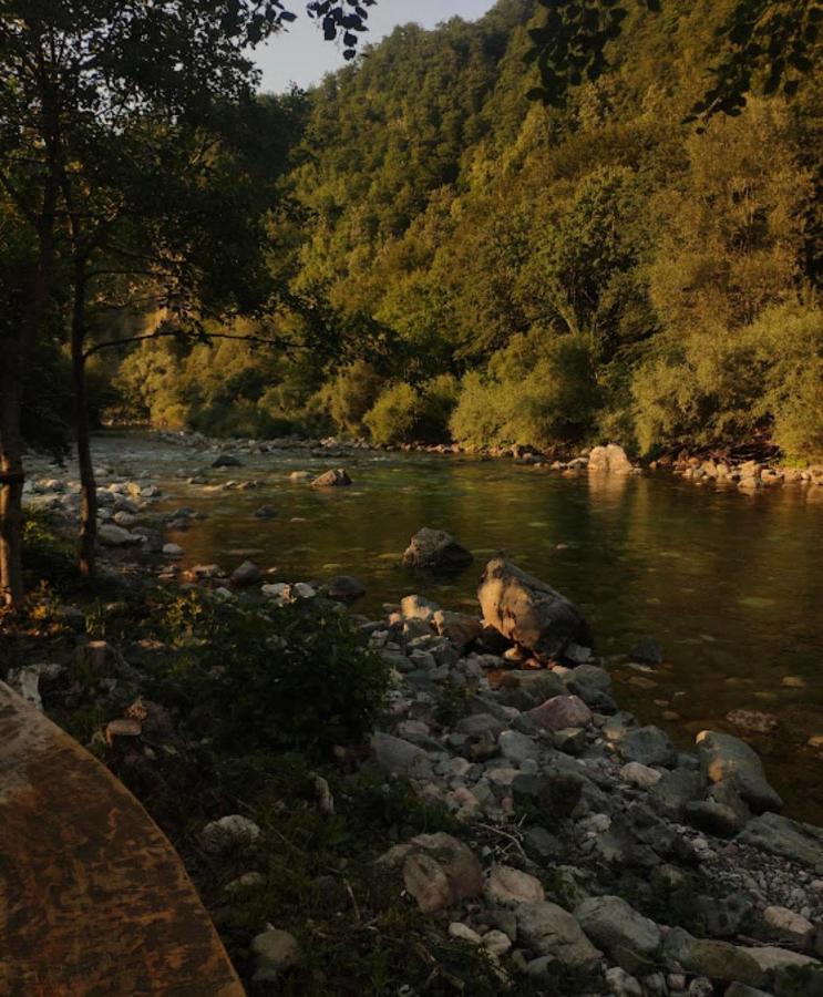 Private Accommodation Kalezic Mojkovac Εξωτερικό φωτογραφία